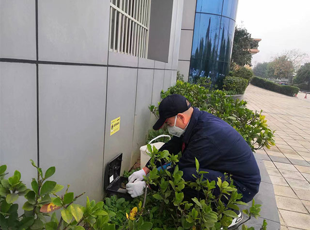 鼠药投放