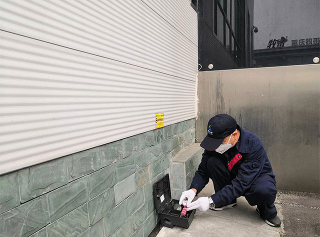 鼠药投放