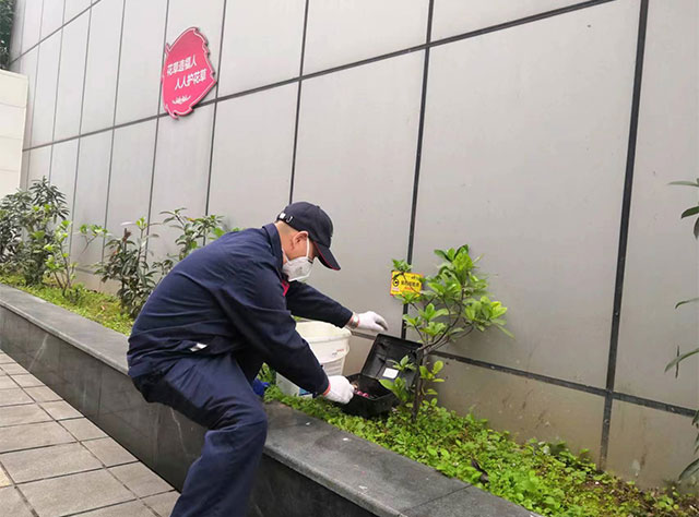 鼠药投放
