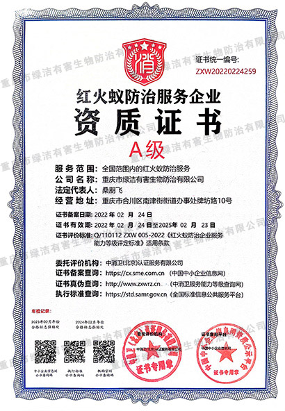 红火蚁 A级资质